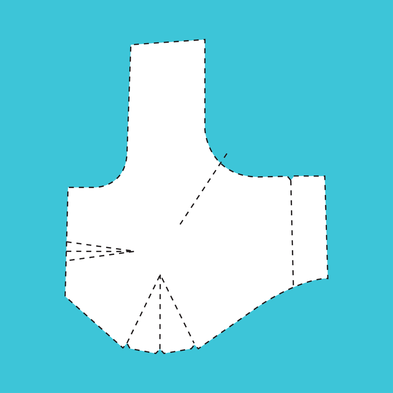 3 Dart Yoke Blouse