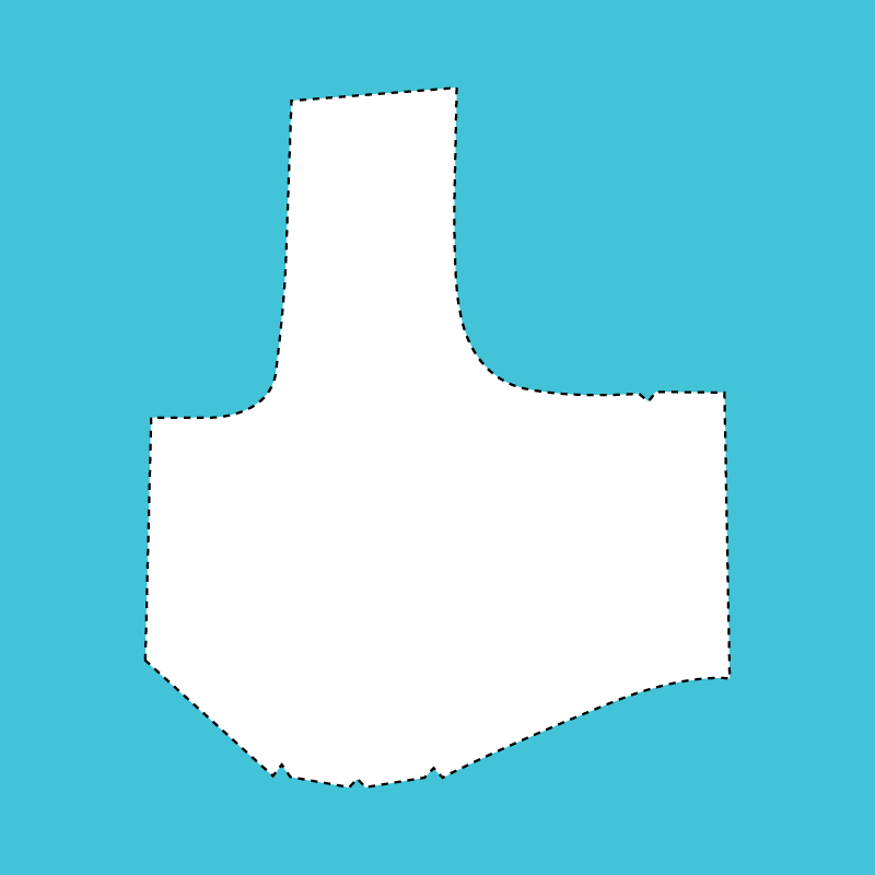 4 Dart Blouse